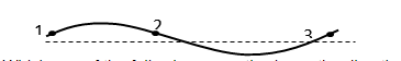 The diagram below shows an instantaneous position of a string as