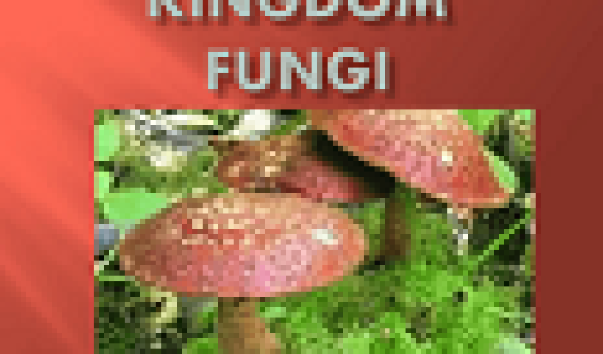 Kingom Fungi