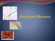 kingdom-monera-l